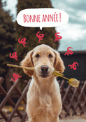 Un adorable chien pour une ann&eacute;e joyeuse